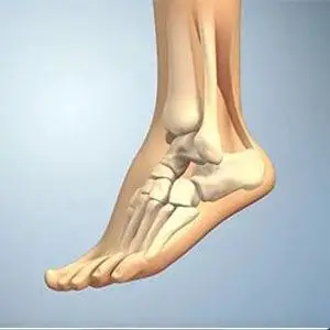 Skin Biopsy